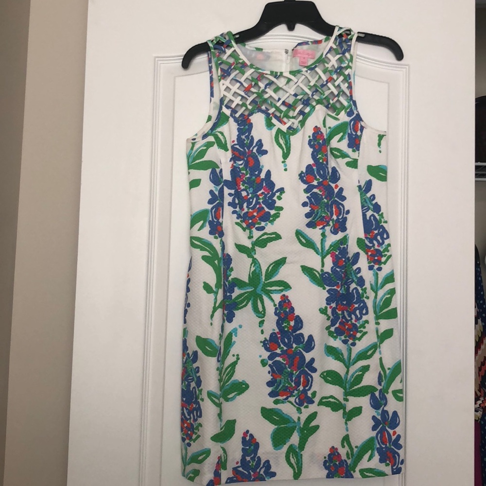 EUC Lilly dress